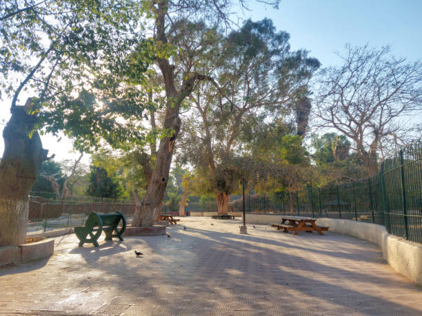 istock empty walkway Passage at Giza Zoo, Egypt 1467833939