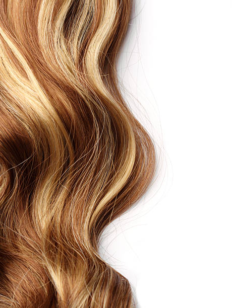 istock Brown hair that has been highlighted on a white background 146783423