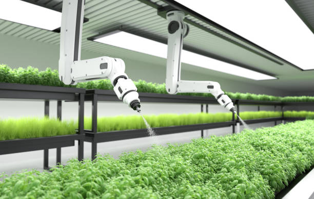 istock Smart robotic farmer spraying fertilizer on vegetable green plants, Agriculture technology, Farm automation 1467837161