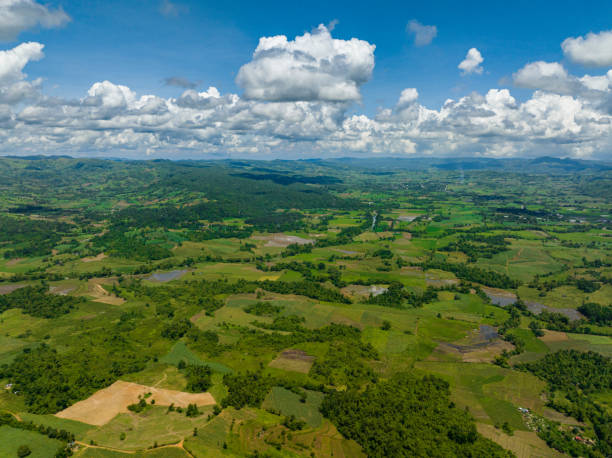 istock Agricultural land in the tropics. 1467837354