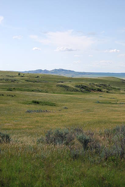 istock Prairie View, North Dakota 146783851