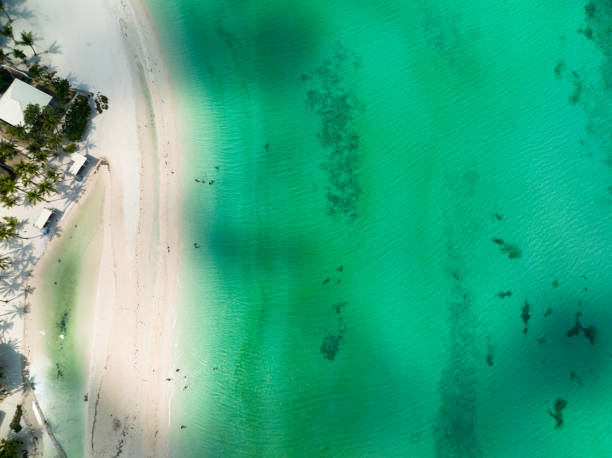 istock Tropical sandy beach and blue sea. Philippines 1467839059