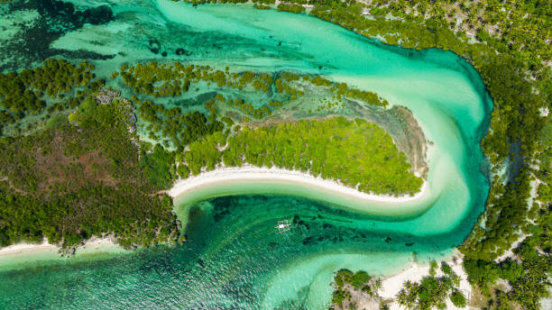 istock Top view of Beautiful sandy beach. 1467839583
