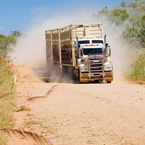 istock Road Train on Gibb River Track, Western Australia 146784078