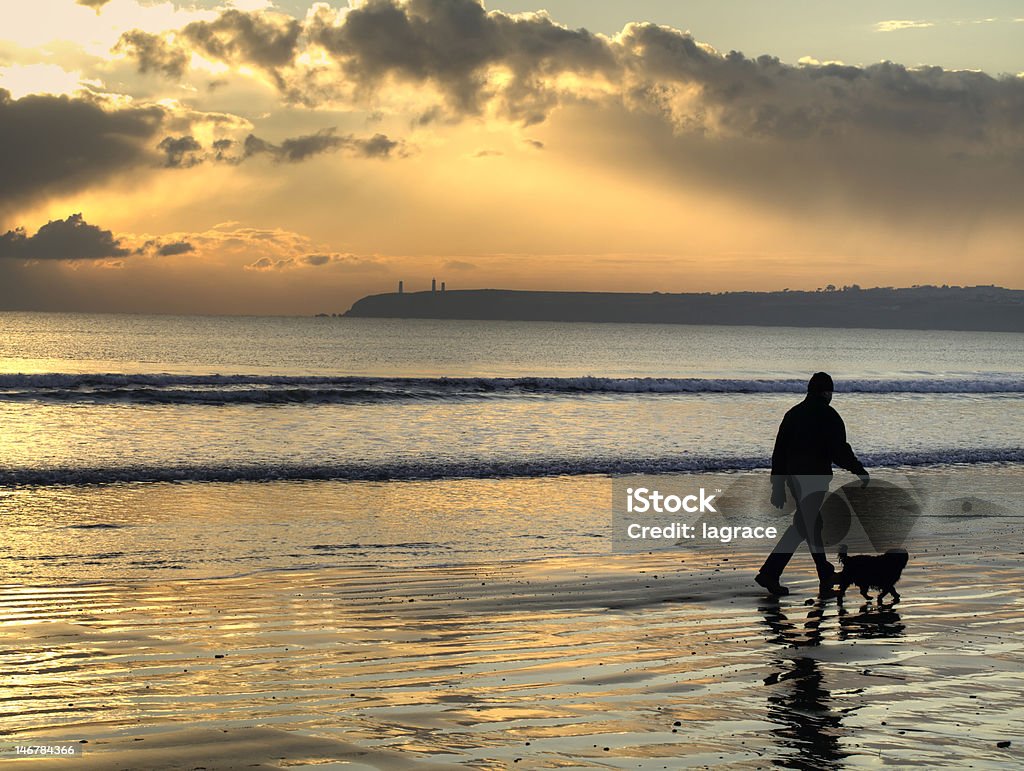 Mann zu Fuß Hund - Lizenzfrei Verwaltungsbezirk County Waterford Stock-Foto