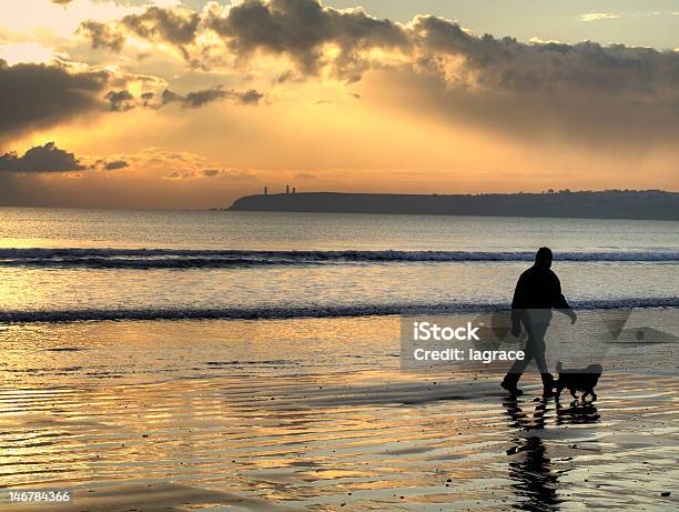 Uomo Camminare Cane - Fotografie stock e altre immagini di Contea di Waterford - Irlanda - Contea di Waterford - Irlanda, Spiaggia, Camminare