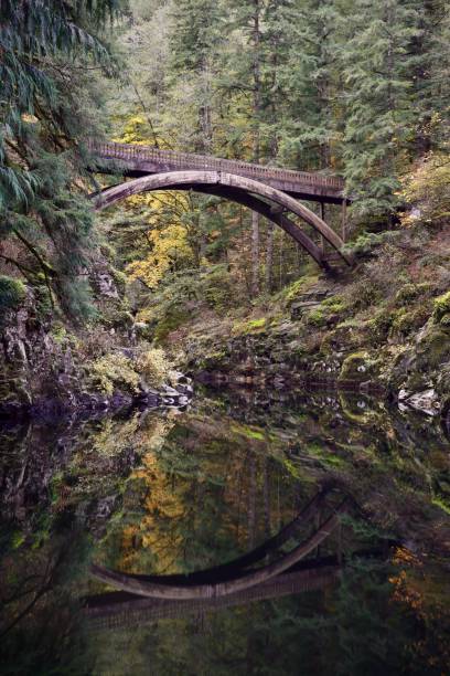 istock Lush autumnal forest scene featuring a tranquil stream with a bridge crossing it 1467845124