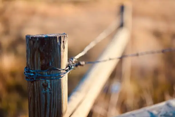 A rusty metal fence with barbed wire attached to the top in a vast grassy field