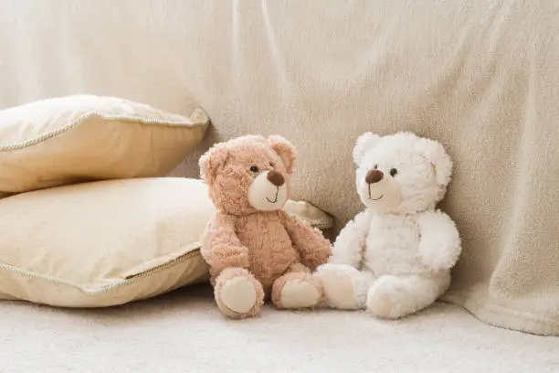 Photo of Two smiling white and brown teddy bears sitting on carpet at sofa and pillows at nursery room. Togetherness and friendship concept. Kids best friends. Closeup.