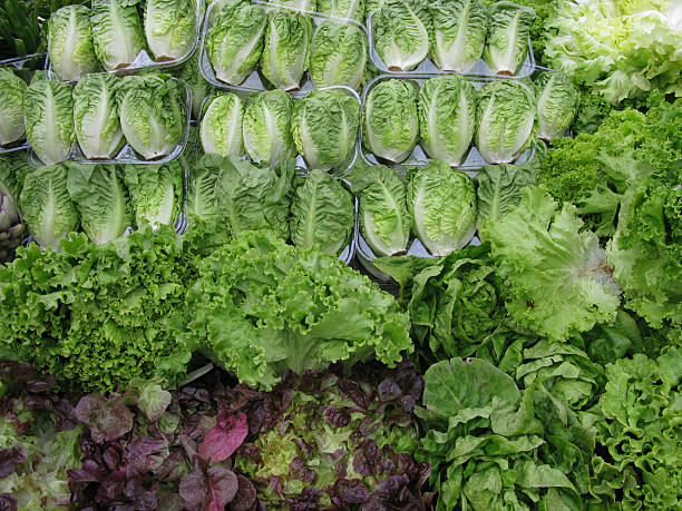 Lettuce on display stock photo