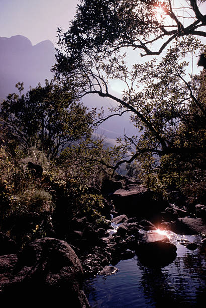 Drakensberg Stream stock photo