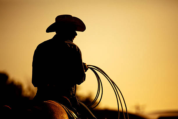 rodeo cowboy silhouette cowboy with lasso silhouette at small-town rodeo. Note image contains added grain. cowboy stock pictures, royalty-free photos & images