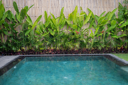 Close-up shot of turquoise swimming pool with tropical lush garden in the background, at private holiday villa