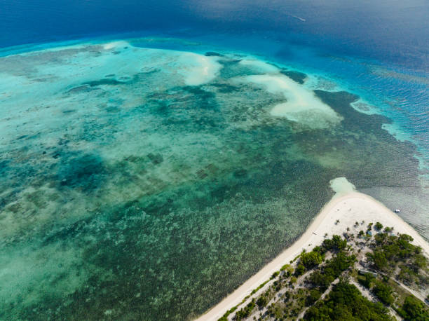 istock Tropical island with sandy beach. 1467852537