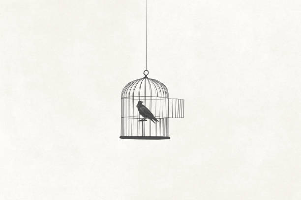 istock Illustration of bird in an open cage, surreal abstract concept 1467852687