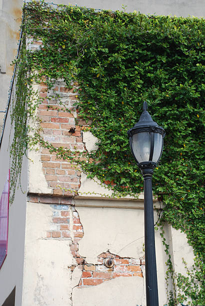 istock Street Lamp 146785293