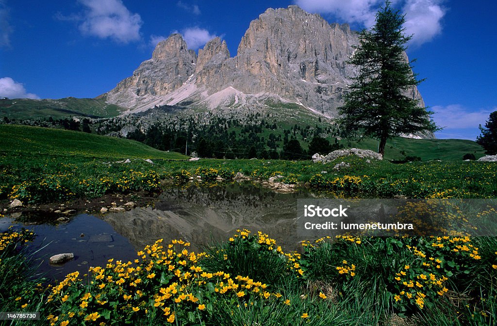 Dolomites , Italy The Sella Group  in the Italian Dolomites. Belluno Stock Photo