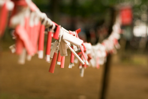 Omikuji are fortunes written on slips of paper. People buy them at shrines and, occasionally, temples and tie them onto the branches of nearby trees in hopes that a good fortune will come true or that a bad fortune will be kept away.