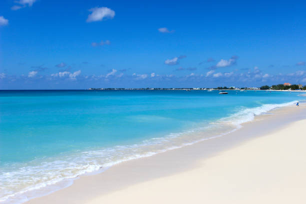 istock Seven mile beach in Grand Cayman 1467862393