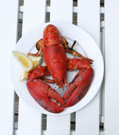 Single lobster with lemon garnish.