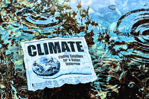 Newspaper headline and article about climate change in a rainy marsh stock photo