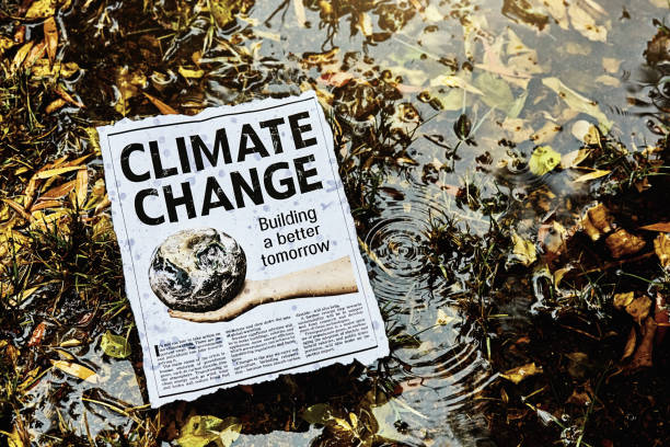titular de periódico y artículo sobre el cambio climático en una marisma lluviosa - simplicity sparse contrasts single word fotografías e imágenes de stock