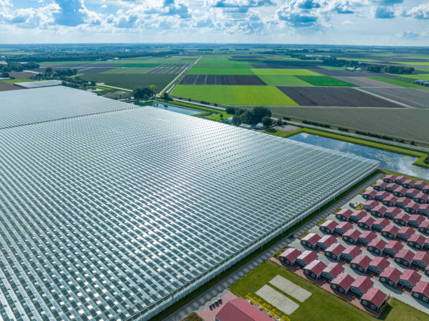 istock Greenhouse for growing vegetables aerial view from above 1467868561