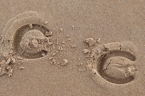 Pair of horseshoe prints in sand