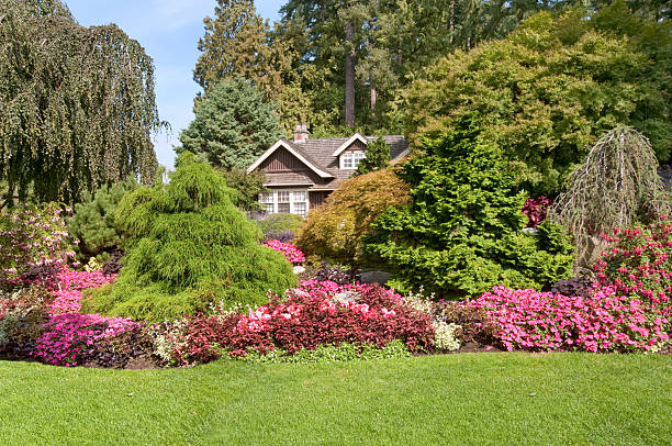 istock panorama of colorful blooming park 146786905