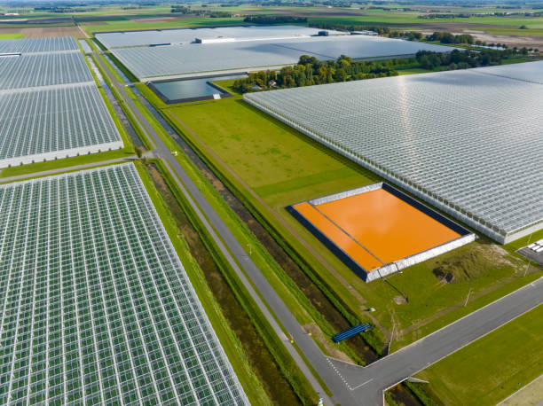 istock Greenhouse for growing vegetables aerial view from above 1467869259
