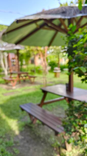 istock Beautifull Blur Garden 1467869311