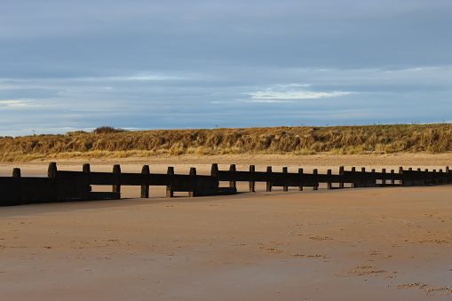 Wooden groynes stretching across a sandy beach