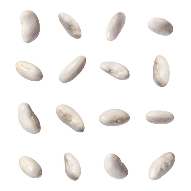 istock set of butter beans isolated on white 1467870340