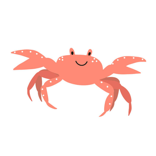 ilustrações de stock, clip art, desenhos animados e ícones de cute crab in scandinavian style on a white background. vector hand drawn kids illustration. sea ocean. underwater world - fish seafood prepared fish nautical vessel