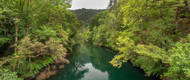 istock Fragas do Eume Natural Park, Pontedeume, Spain 1467876948