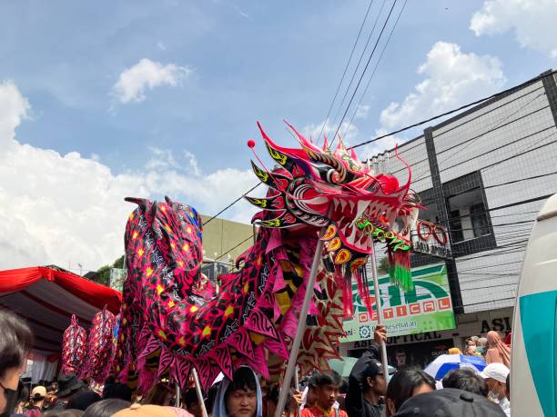 lion dragon - chinese lantern chinese new year paper lantern chinese national day imagens e fotografias de stock