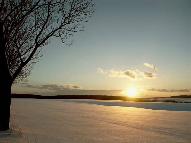 istock Picturesque winter sunset 146787809