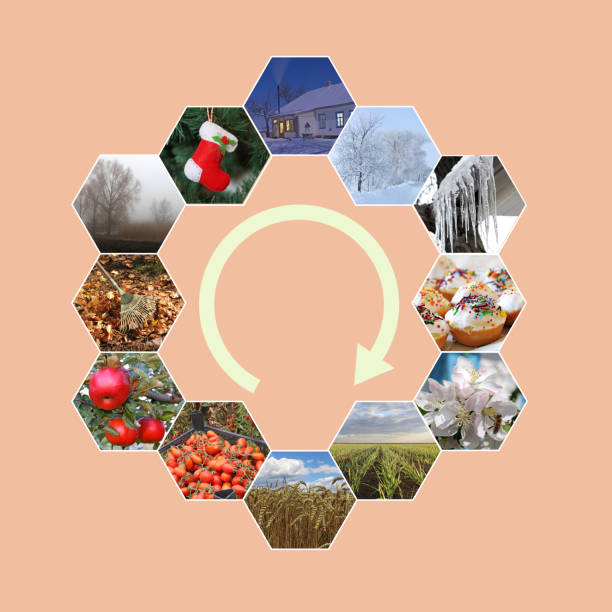 istock Visualization of the twelve months of the year. 1467878768