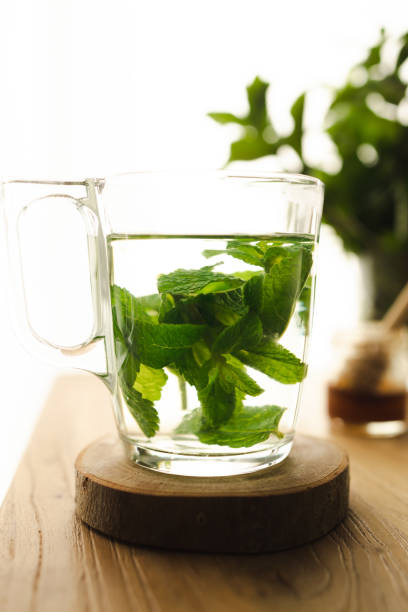 istock Tea with fresh mint leaves. Mint infusion helps with digestive problems 1467878787