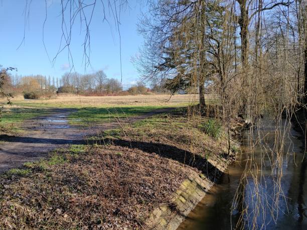 istock Small stream meandering through a field with towering trees on its side 1467880845