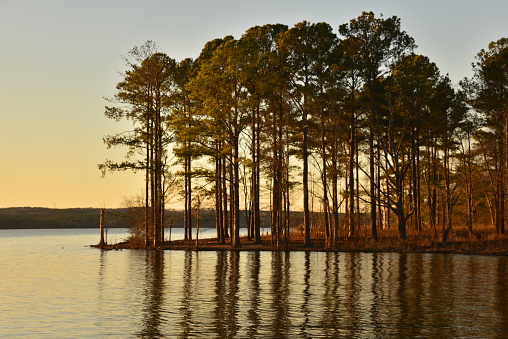 Photo Taken At Jordan Lake, Apex, Wake County, North Carolina