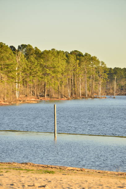 istock Clear Day At Lake Jordan 1467883838