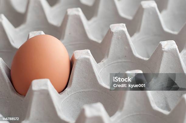Organic Egg Stock Photo - Download Image Now - Breakfast, Egg, Food