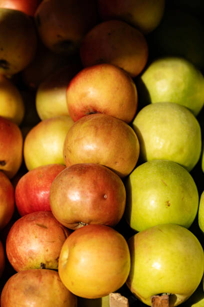 Row of red apples, single one up front.