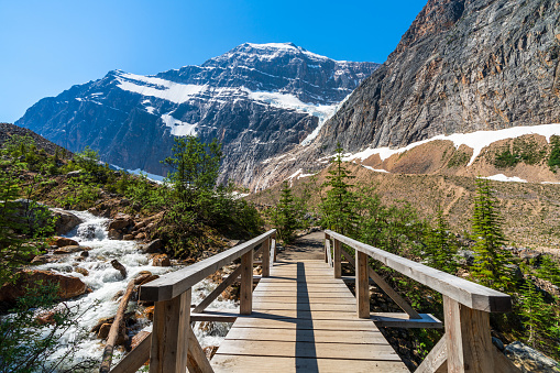 Canadian Rockies nature trails scenery. Jasper National Park beautiful landscape. Alberta, Canada. Forest and Mount Edith Cavell Mountain in the background.