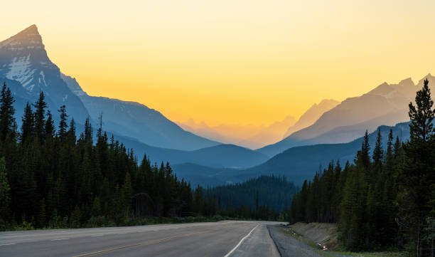 Driving on Icefields Parkway at twilight time. Jasper National Park, Canada.