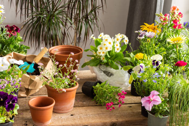 istock Spring decoration of a home balcony or terrace 1467893308
