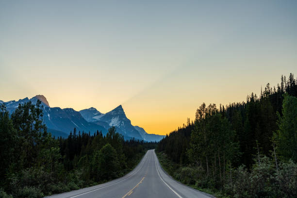istock Driving on Icefields Parkway at twilight time. Jasper National Park, Canada. 1467893438
