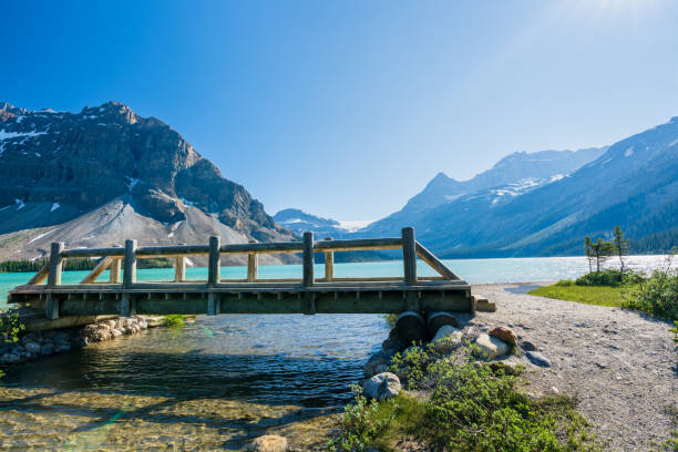 Banff National Park beautiful landscape. Bow Lake lakeshore trail and wooden bridge. Alberta, Canada. Banff National Park beautiful landscape. Bow Lake lakeshore trail and wooden bridge. Alberta, Canada. Canadian Rockies nature scenery. bow river stock pictures, royalty-free photos & images