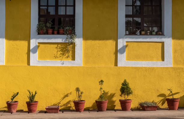 fachada exterior de una antigua casa de la época portuguesa - panjim fotografías e imágenes de stock